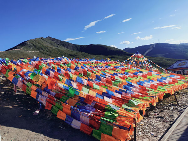 成都能租车去川藏线西藏吗？多少钱？